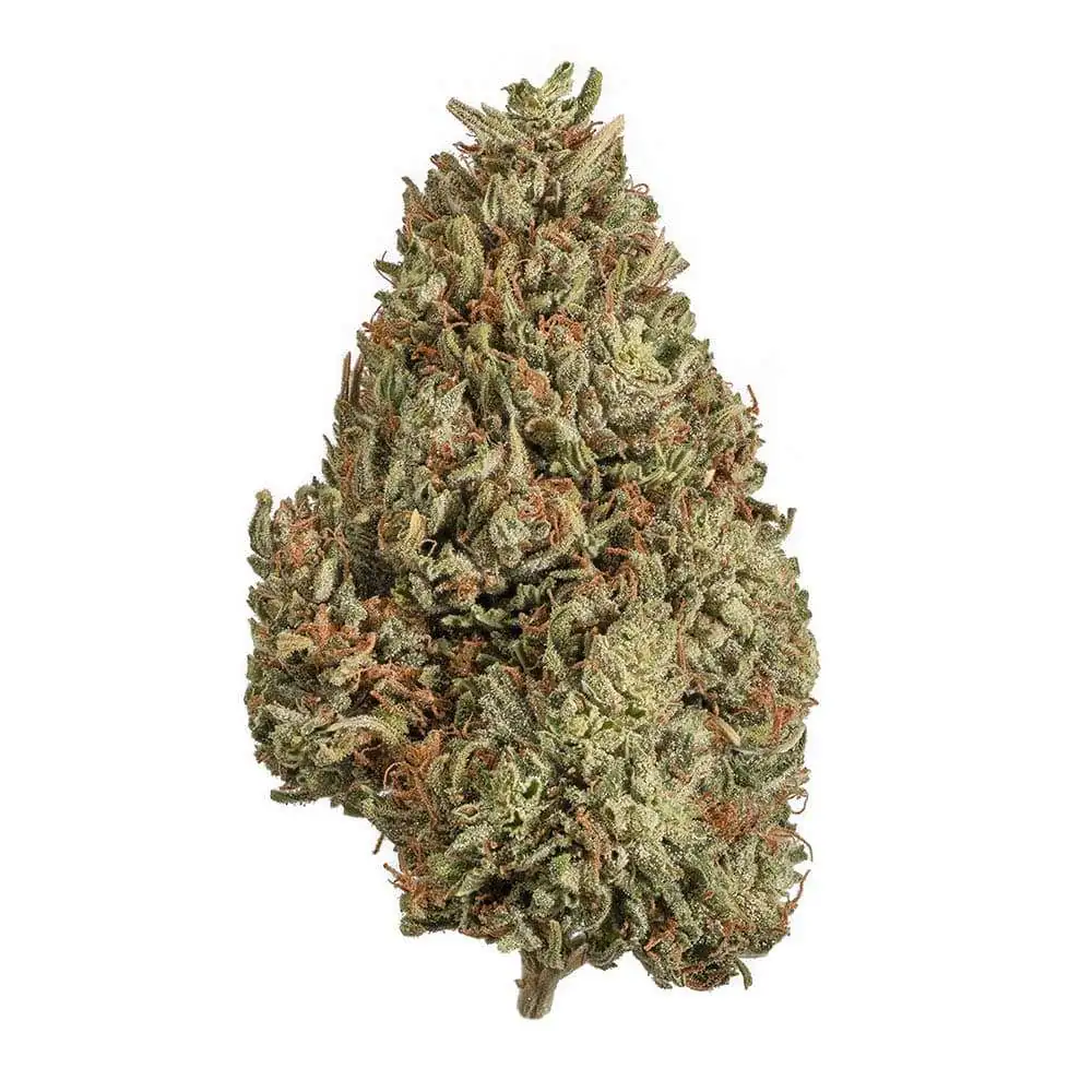 CBG Flower (H) (Total THC Compliant) / 3.5G + Boveda